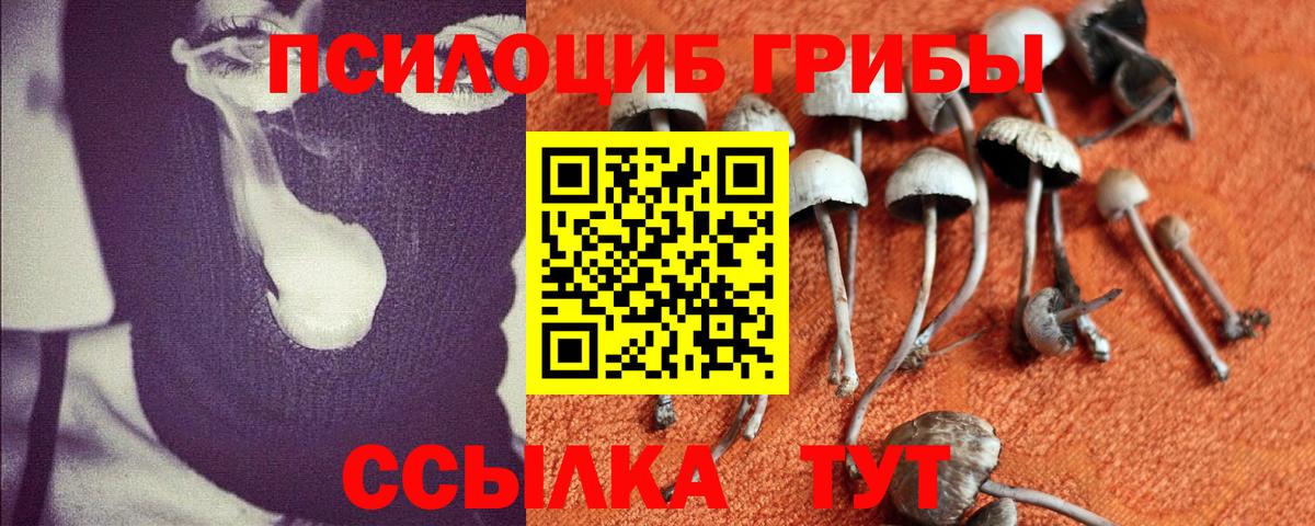 Псилоцибиновые грибы прущие грибы Нижневартовск